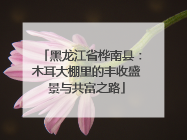 黑龙江省桦南县：木耳大棚里的丰收盛景与共富之路
