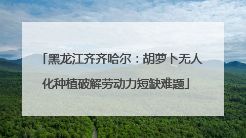 黑龙江齐齐哈尔：胡萝卜无人化种植破解劳动力短缺难题