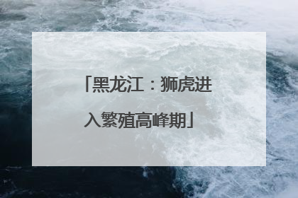黑龙江：狮虎进入繁殖高峰期