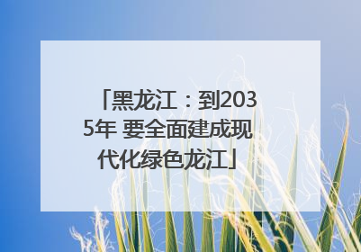 黑龙江：到2035年 要全面建成现代化绿色龙江