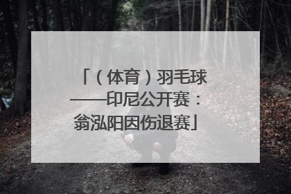 （体育）羽毛球——印尼公开赛：翁泓阳因伤退赛