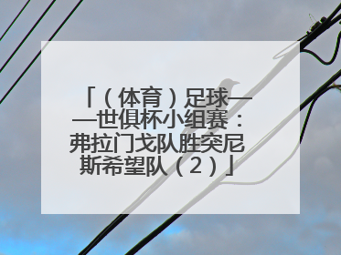 （体育）足球——世俱杯小组赛：弗拉门戈队胜突尼斯希望队（2）