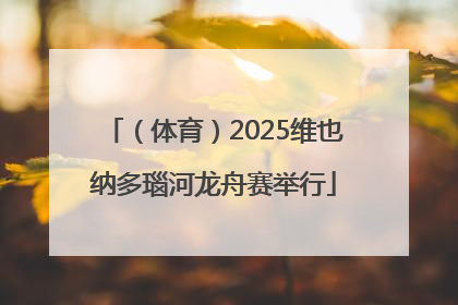 （体育）2025维也纳多瑙河龙舟赛举行