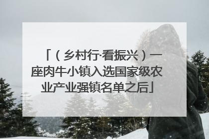 （乡村行·看振兴）一座肉牛小镇入选国家级农业产业强镇名单之后