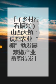 （乡村行·看振兴）山西天镇：设施农业“棚”勃发展 辣椒产业蓄势待发