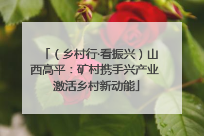 （乡村行·看振兴）山西高平：矿村携手兴产业 激活乡村新动能