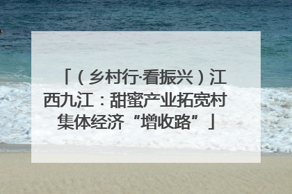 （乡村行·看振兴）江西九江：甜蜜产业拓宽村集体经济“增收路”
