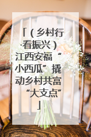 （乡村行·看振兴）江西安福“小西瓜”撬动乡村共富“大支点”
