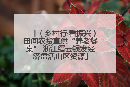 （乡村行·看振兴）田间农货直供“养老餐桌” 浙江缙云银发经济盘活山区资源