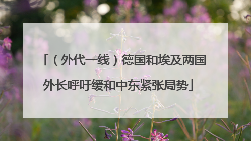 （外代一线）德国和埃及两国外长呼吁缓和中东紧张局势