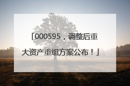 000595，调整后重大资产重组方案公布！