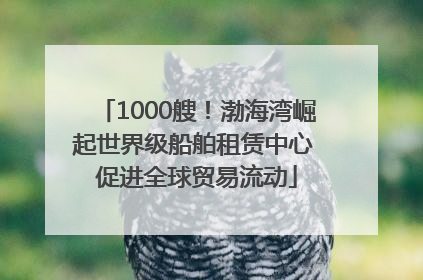 1000艘！渤海湾崛起世界级船舶租赁中心 促进全球贸易流动