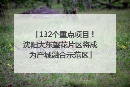 132个重点项目！沈阳大东望花片区将成为产城融合示范区