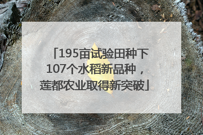 195亩试验田种下107个水稻新品种，莲都农业取得新突破