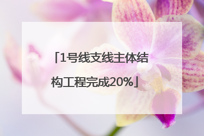 1号线支线主体结构工程完成20%