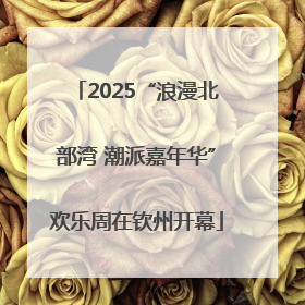 2025“浪漫北部湾 潮派嘉年华”欢乐周在钦州开幕