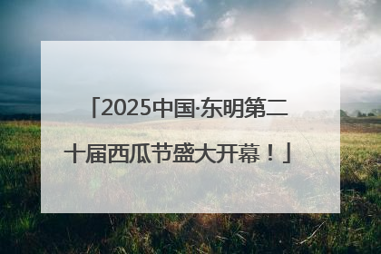2025中国·东明第二十届西瓜节盛大开幕！