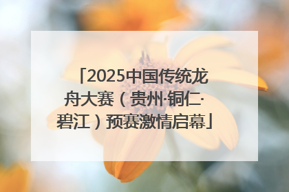 2025中国传统龙舟大赛（贵州·铜仁·碧江）预赛激情启幕
