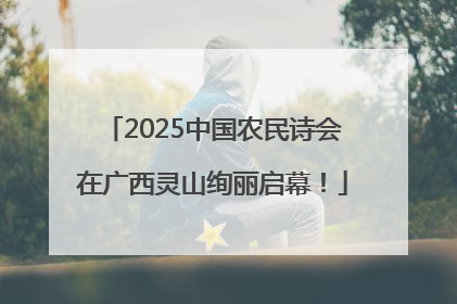 2025中国农民诗会在广西灵山绚丽启幕！