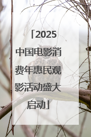 2025中国电影消费年惠民观影活动盛大启动