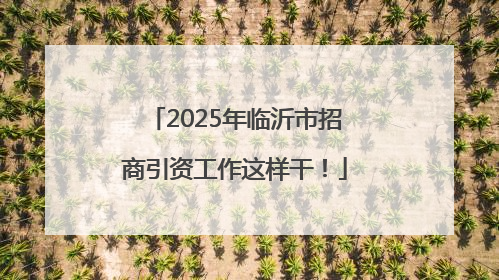 2025年临沂市招商引资工作这样干！
