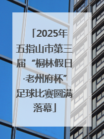 2025年五指山市第三届“桐林假日·老州府杯”足球比赛圆满落幕