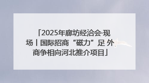 2025年廊坊经洽会·现场丨国际招商“磁力”足 外商争相向河北推介项目