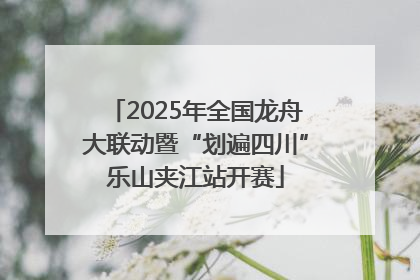 2025年全国龙舟大联动暨“划遍四川”乐山夹江站开赛