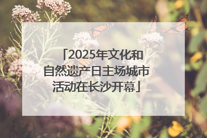 2025年文化和自然遗产日主场城市活动在长沙开幕