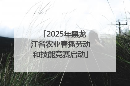 2025年黑龙江省农业春播劳动和技能竞赛启动