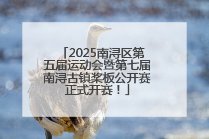 2025南浔区第五届运动会暨第七届南浔古镇桨板公开赛正式开赛！