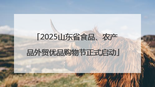 2025山东省食品、农产品外贸优品购物节正式启动