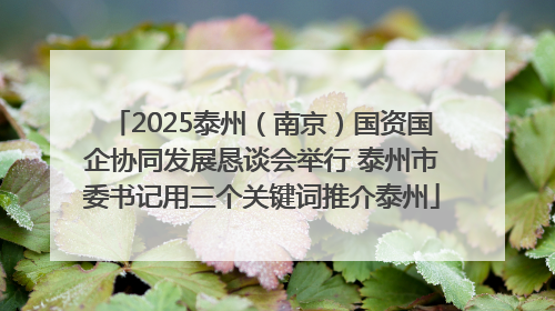 2025泰州（南京）国资国企协同发展恳谈会举行 泰州市委书记用三个关键词推介泰州