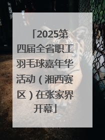 2025第四届全省职工羽毛球嘉年华活动（湘西赛区）在张家界开幕