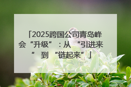 2025跨国公司青岛峰会“升级”：从 “引进来” 到 “链起来”