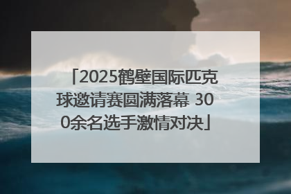 2025鹤壁国际匹克球邀请赛圆满落幕 300余名选手激情对决