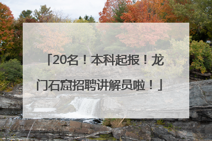 20名！本科起报！龙门石窟招聘讲解员啦！