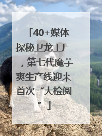 40+媒体探秘卫龙工厂，第七代魔芋爽生产线迎来首次“大检阅”