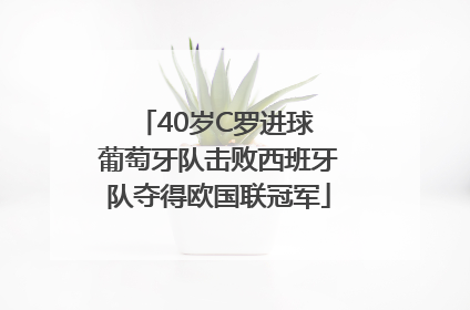 40岁C罗进球 葡萄牙队击败西班牙队夺得欧国联冠军