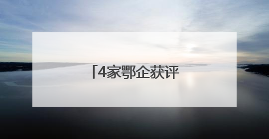 4家鄂企获评国资委价值创造行动优秀案例