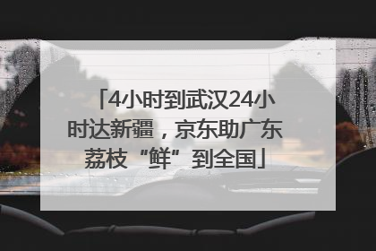4小时到武汉24小时达新疆，京东助广东荔枝“鲜”到全国