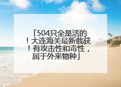 504只全是活的！大连海关最新截获！有攻击性和毒性，属于外来物种
