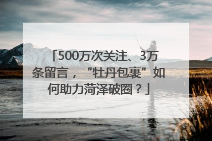 500万次关注、3万条留言，“牡丹包裹”如何助力菏泽破圈？