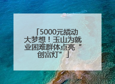 5000元撬动大梦想！玉山为就业困难群体点亮“创富灯”