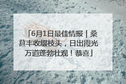 6月1日最佳情报｜桑葚丰收缀枝头，日出霞光万道蓬勃壮观！恭喜