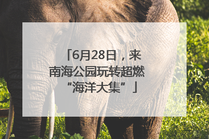 6月28日，来南海公园玩转超燃 “海洋大集”