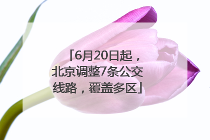 6月20日起，北京调整7条公交线路，覆盖多区