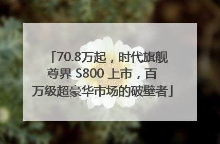 70.8万起，时代旗舰尊界 S800 上市，百万级超豪华市场的破壁者