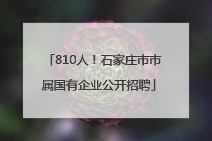810人！石家庄市市属国有企业公开招聘