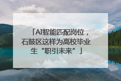 AI智能匹配岗位，石鼓区这样为高校毕业生“职引未来”